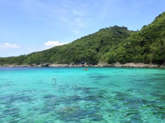 倩女幽魂手游