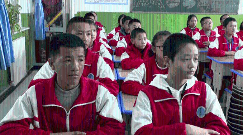 小艾比当营养师